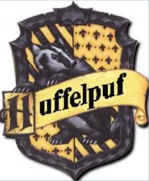 WAPC-Huffelpuff (2).jpg