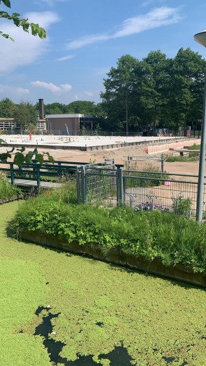 (31) Nieuwbouw update beton storten.jpeg