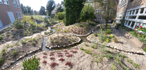 Tuin Achilles -.jpg
