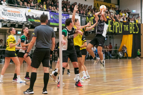 20231105115645-7e494eb2.jpg